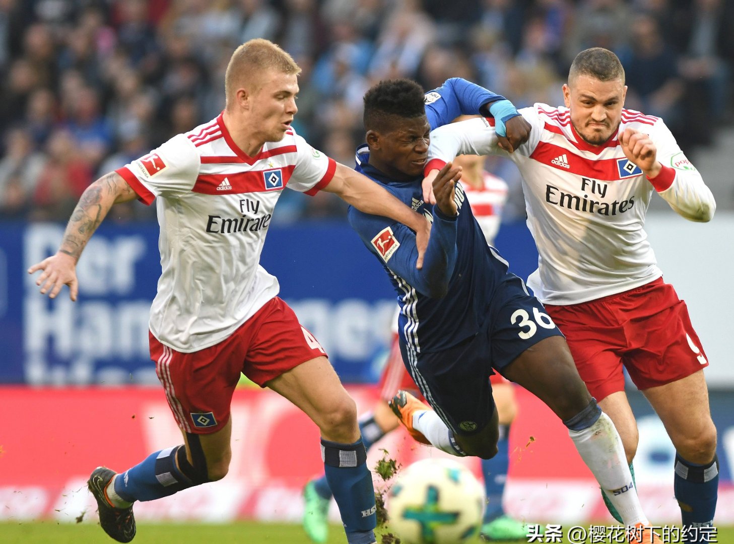 包含今晨本菲卡更衣室发声——德甲节点到来，底气十足，高层口径保持一致的词条